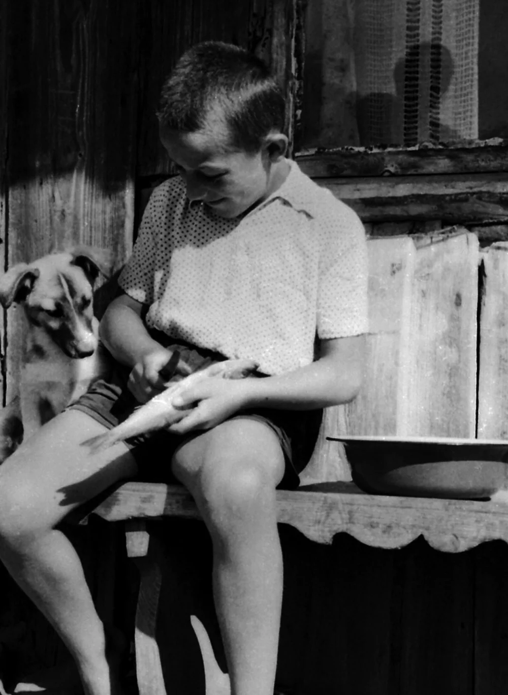 A Boy at Ventės Ragas 1, 1958