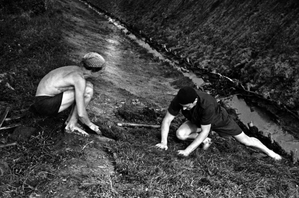 Studentai 14, 1959
