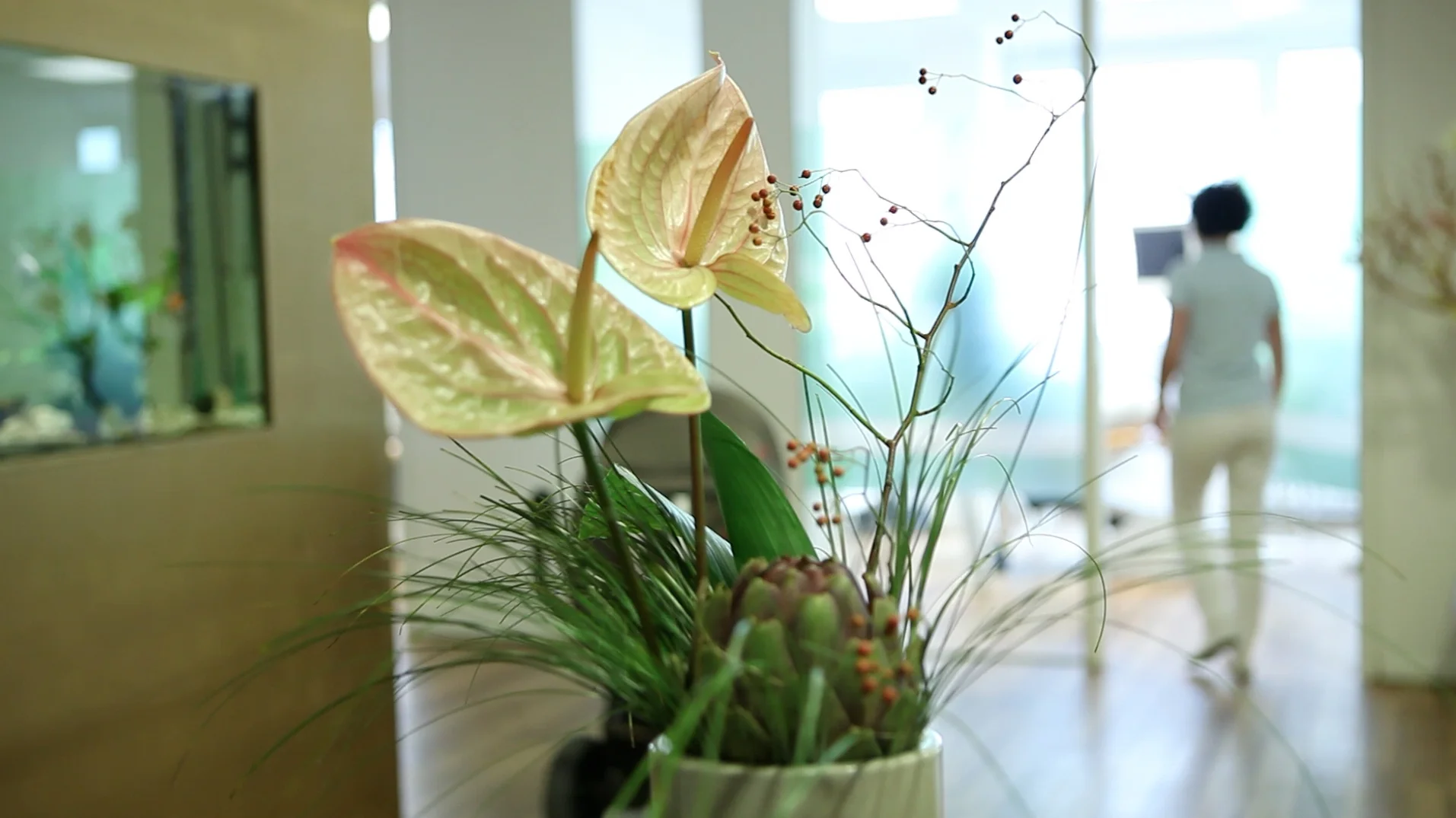 blume.jpg