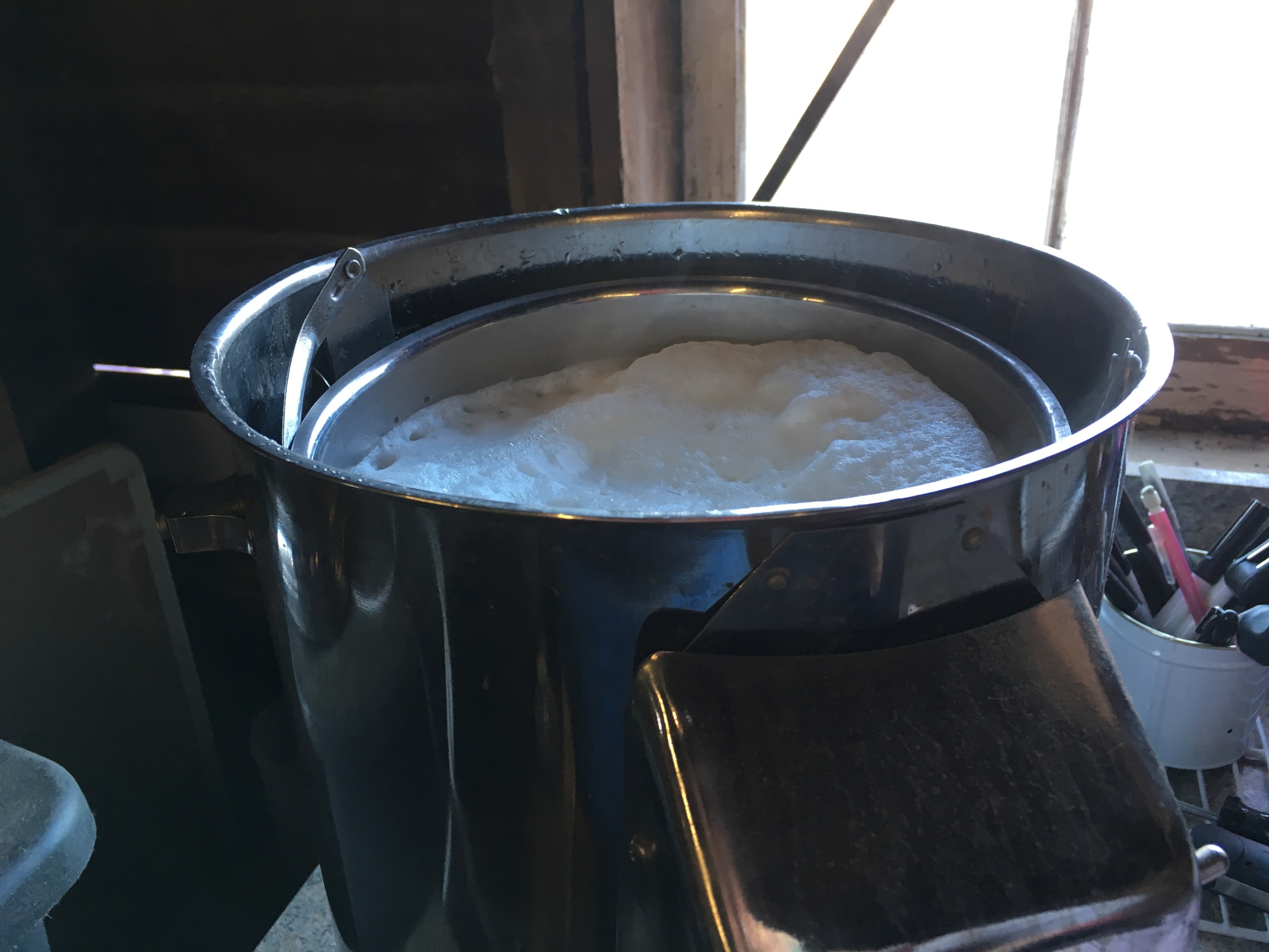 Milk waiting to be pasteurized for kids. Two does filled this up one morning (capacity is 2 gallons) on 13 hours of milk. 