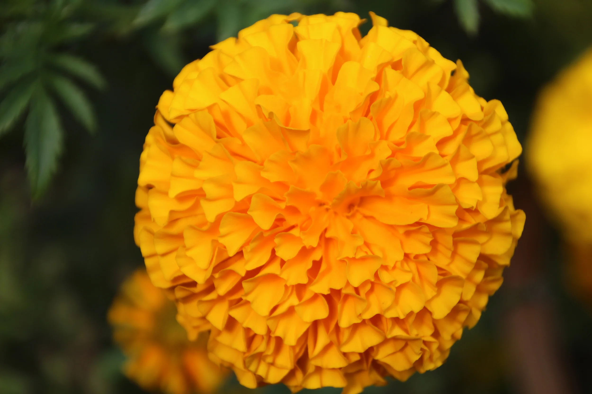 2014-11-04 03.21.26.jpg