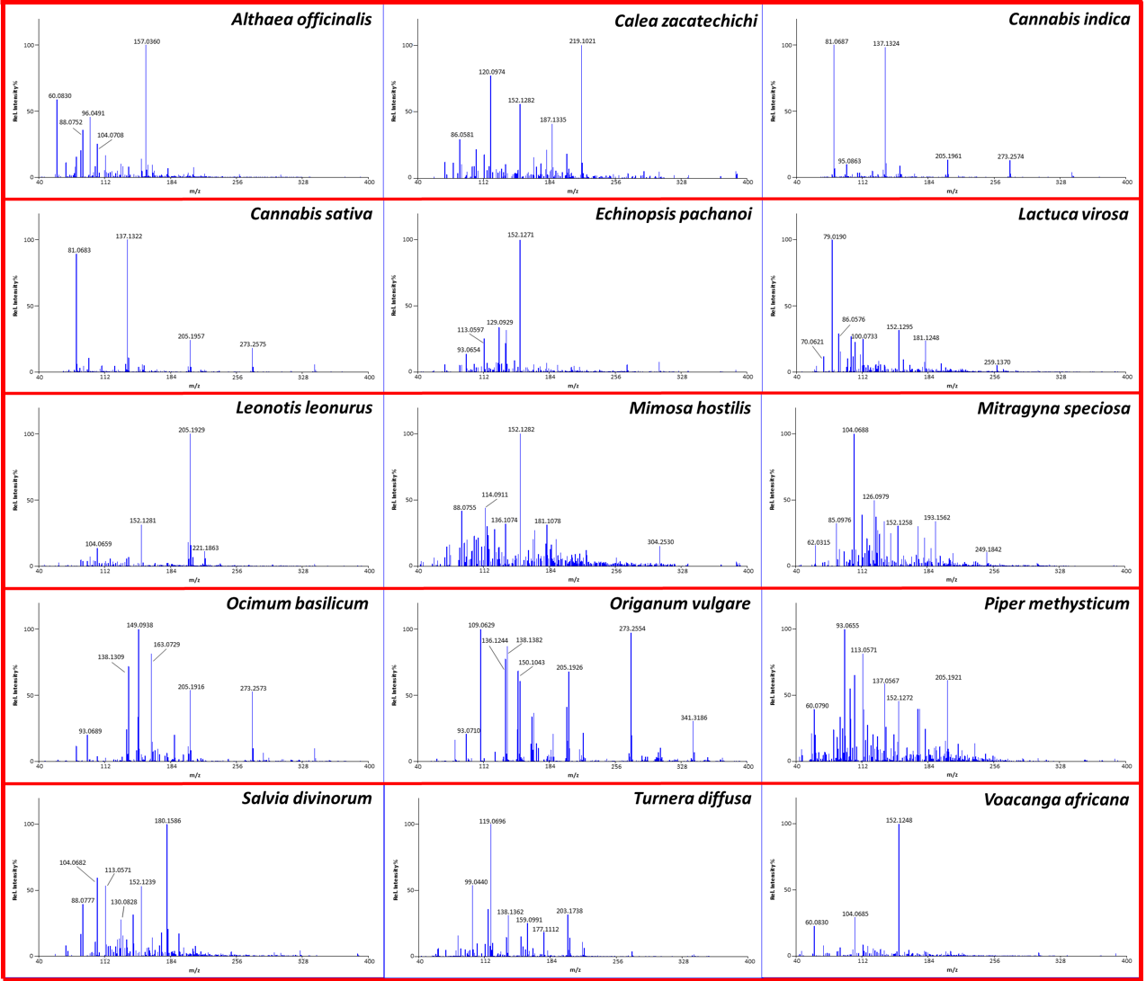  Mass spectral profiles of various plants of abuse. While some may appear similar at a glance, multivariate statistical analysis allows us to identify samples of plant material based on their small-molecule profiles 
