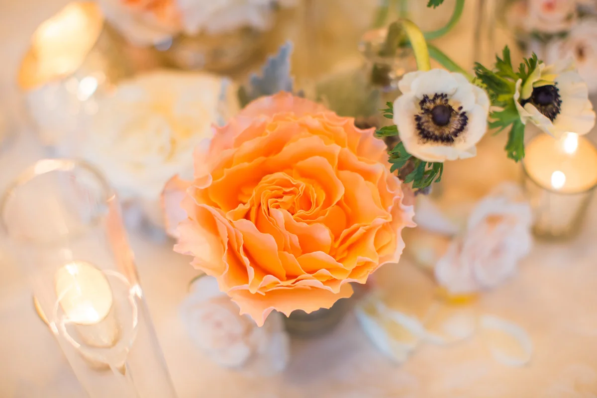  Photo credit:  Erik Umphery Photography  