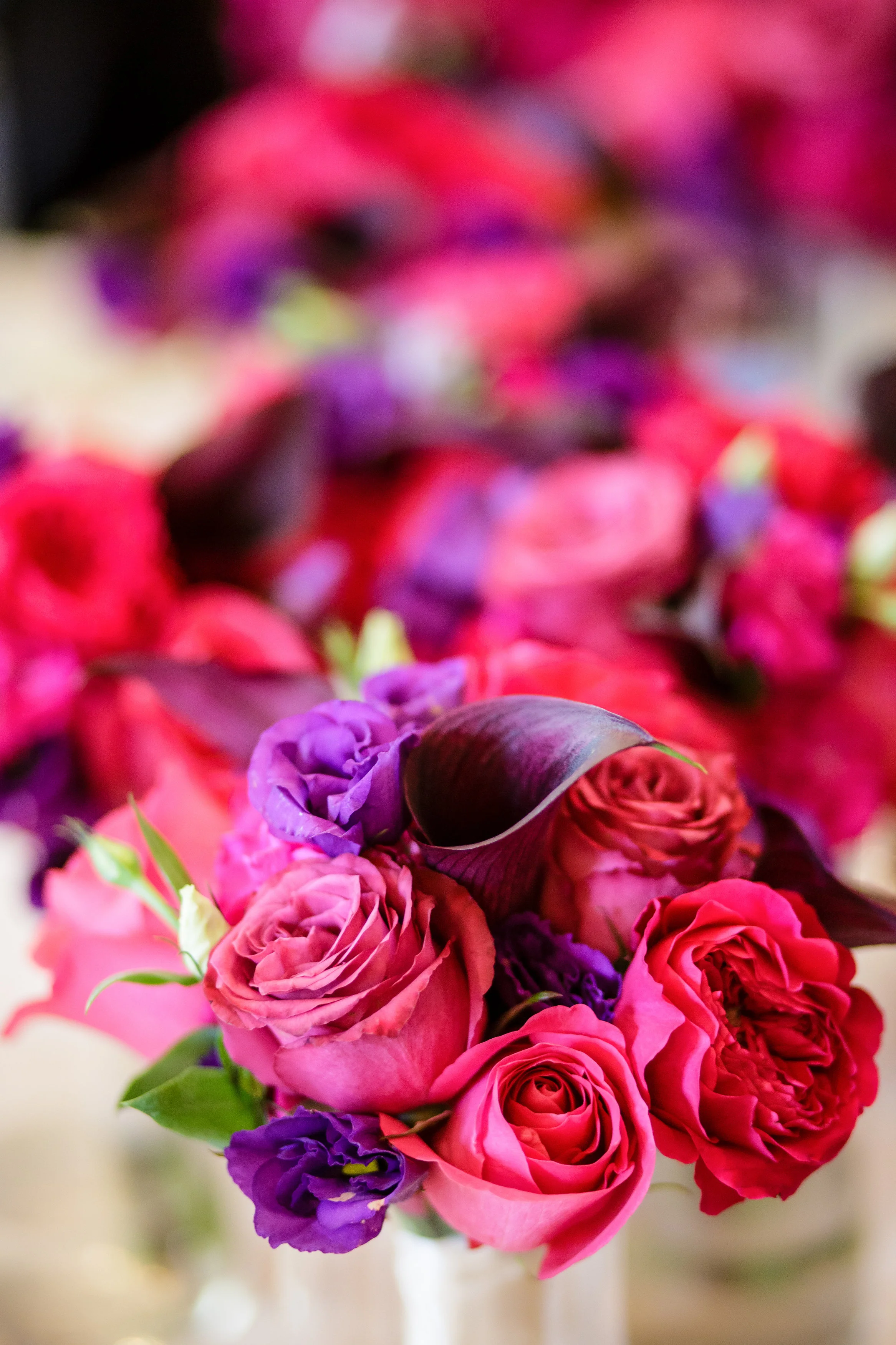 Ashley Gerrity Photography