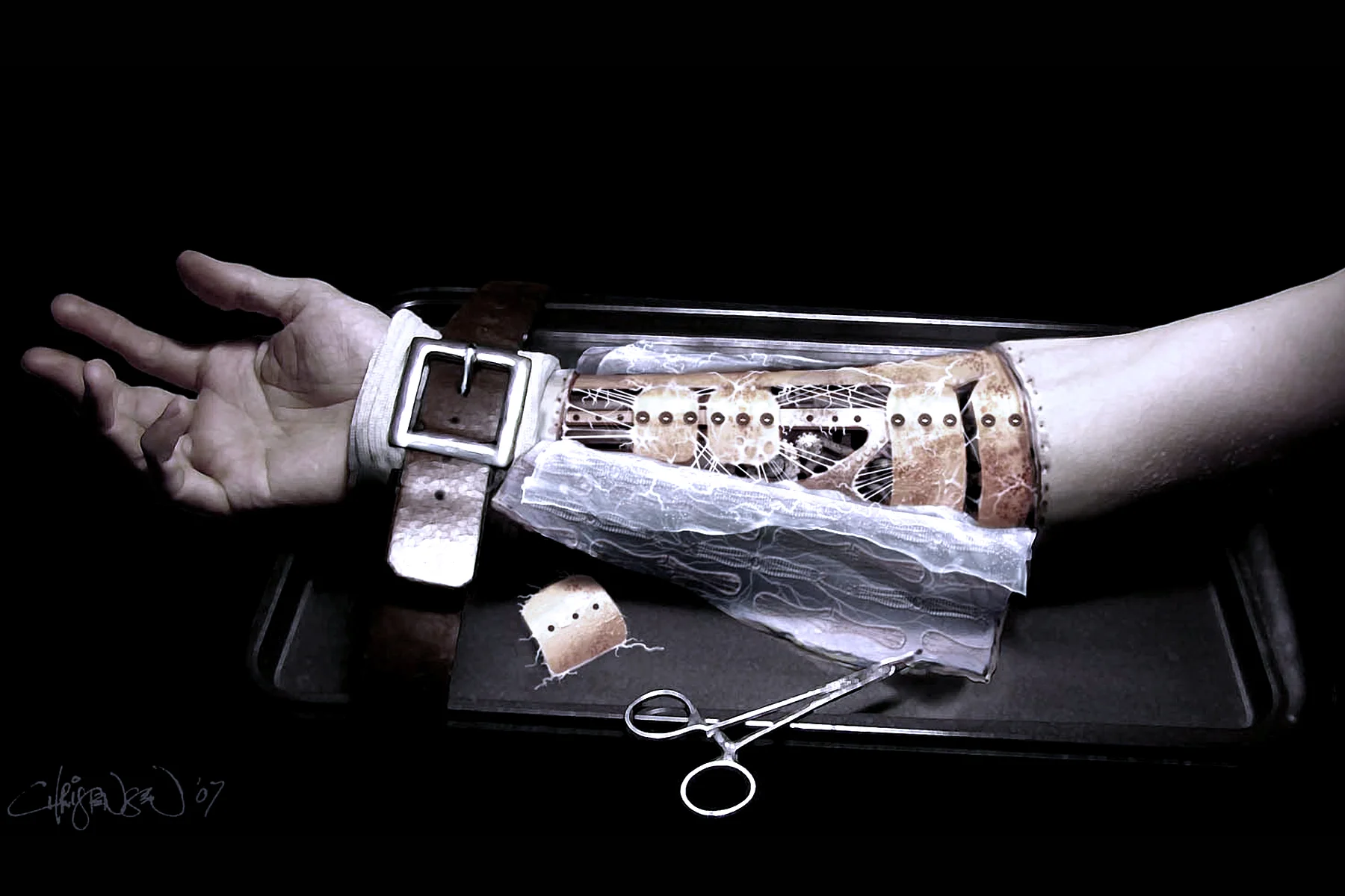 Arm.jpg