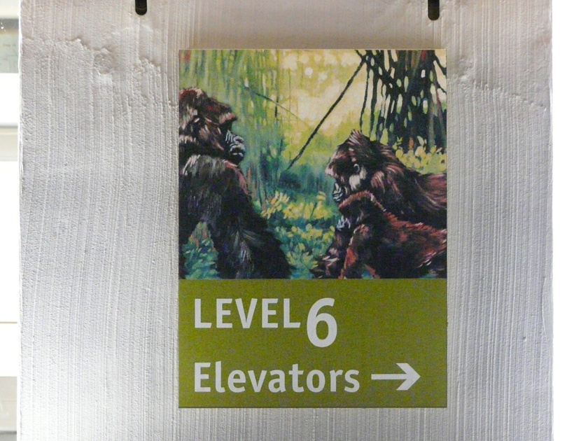 Floor 6 dir sign.jpg