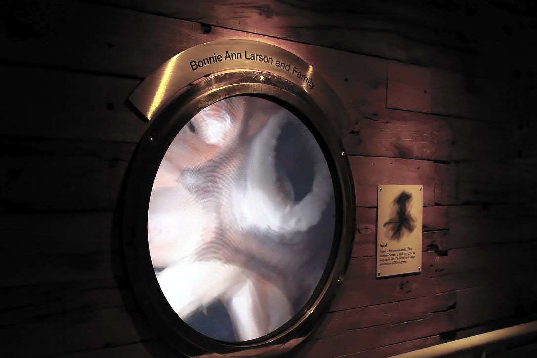 Brass zoo donor plaque.jpg