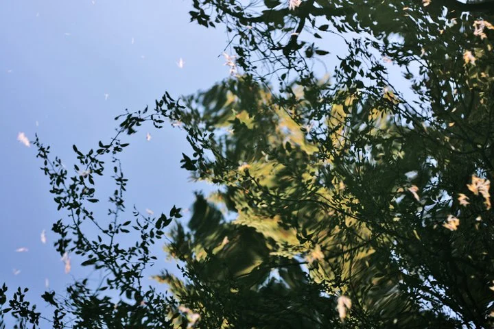 69344_10150272458230531_4038391_n.jpg