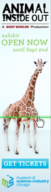 Screen Shot 2014-05-01 at 3.12.12 PM.png