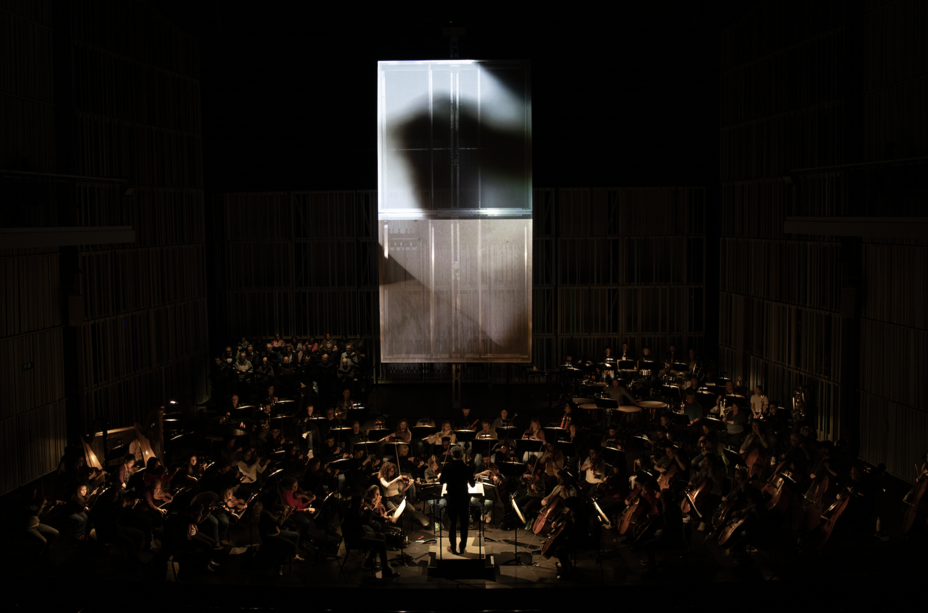 A Body For Harnasie, 2024