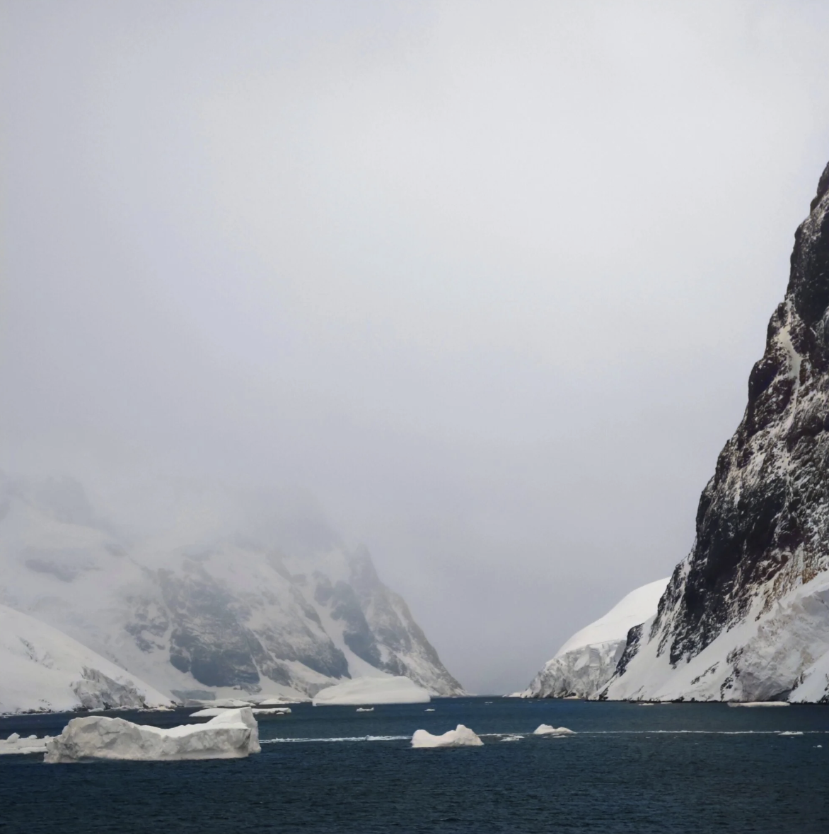 Screenshot 2026-04-17 at 08.44.40.png