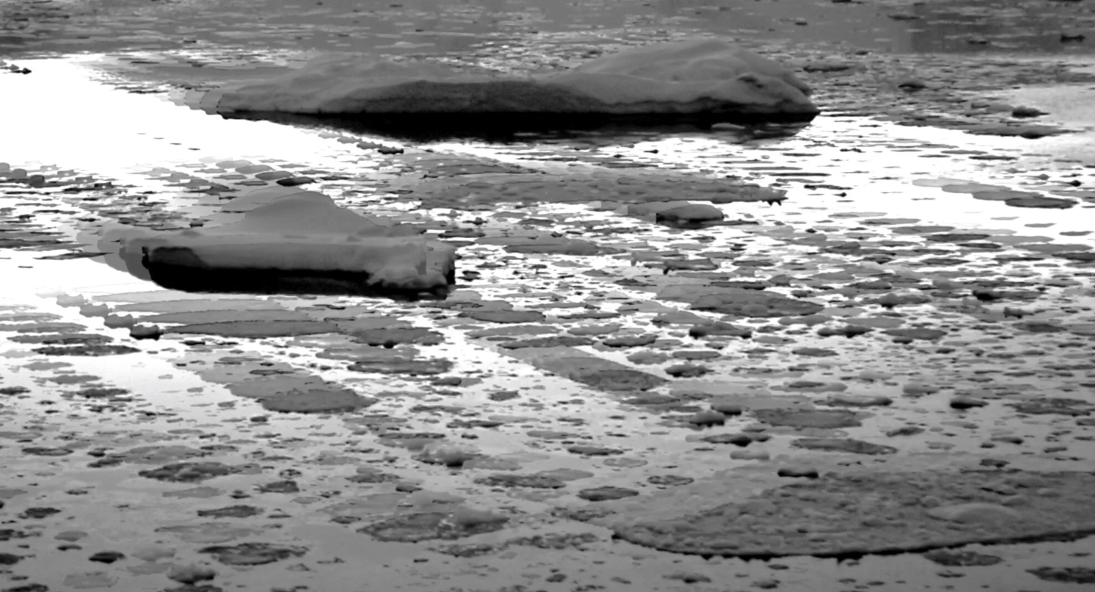 Screenshot 2026-04-17 at 08.44.55.png