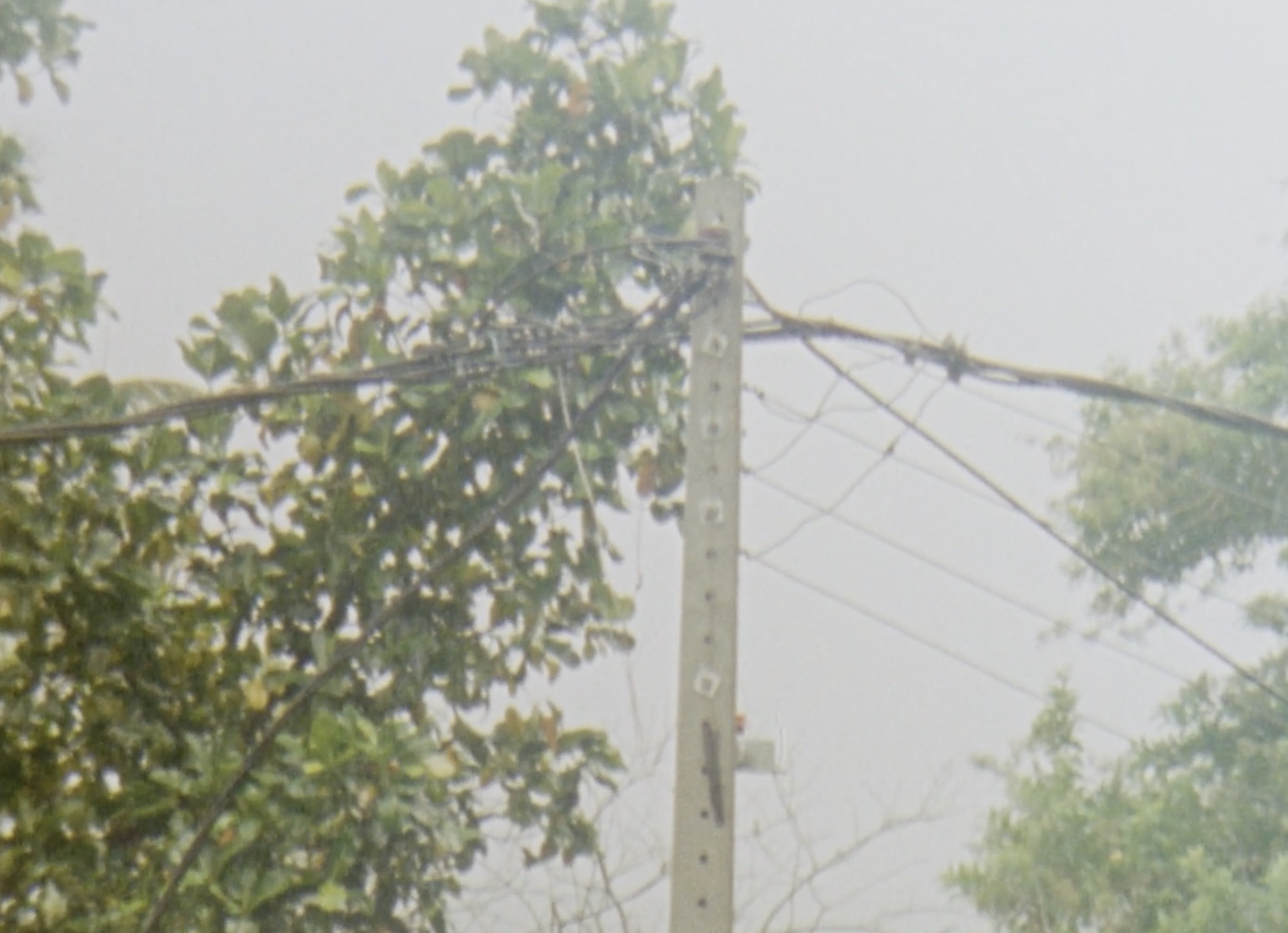 Screenshot 2026-04-17 at 08.46.22.png