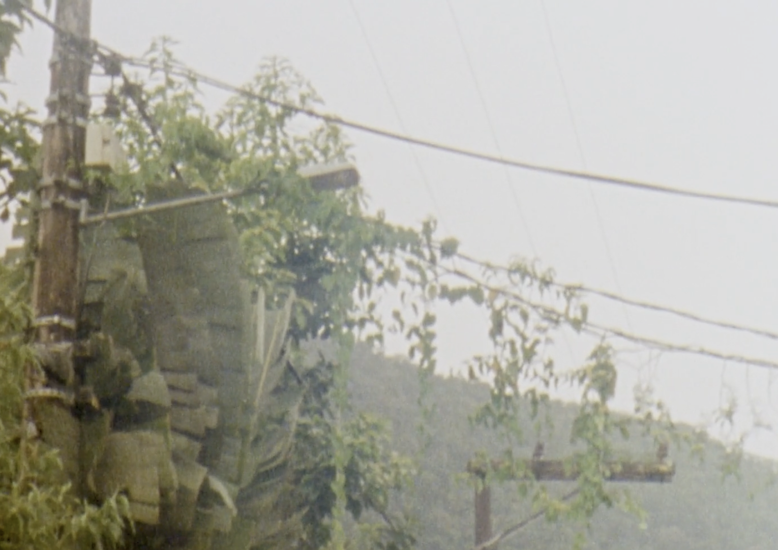 Screenshot 2026-04-17 at 08.46.38.png