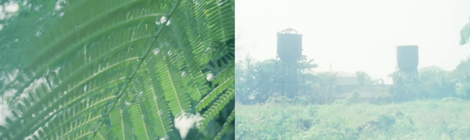 Screenshot 2026-04-17 at 08.47.45.png