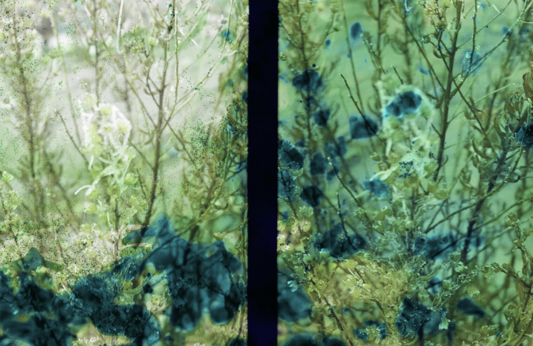 Screenshot 2026-04-17 at 08.50.14.png