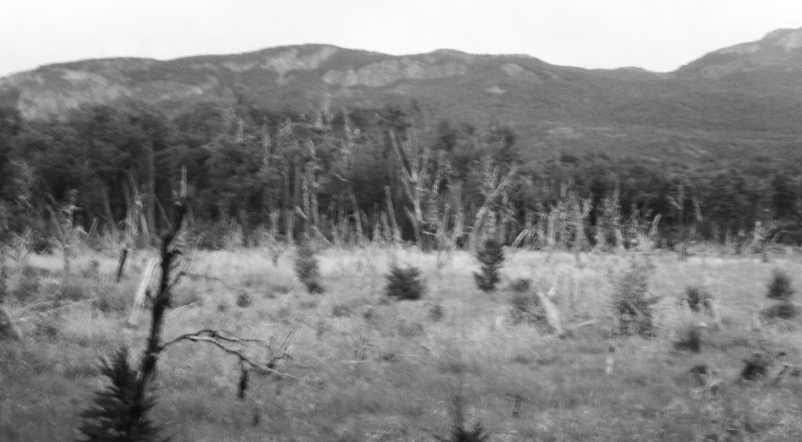 Screenshot 2026-04-17 at 08.53.12.png