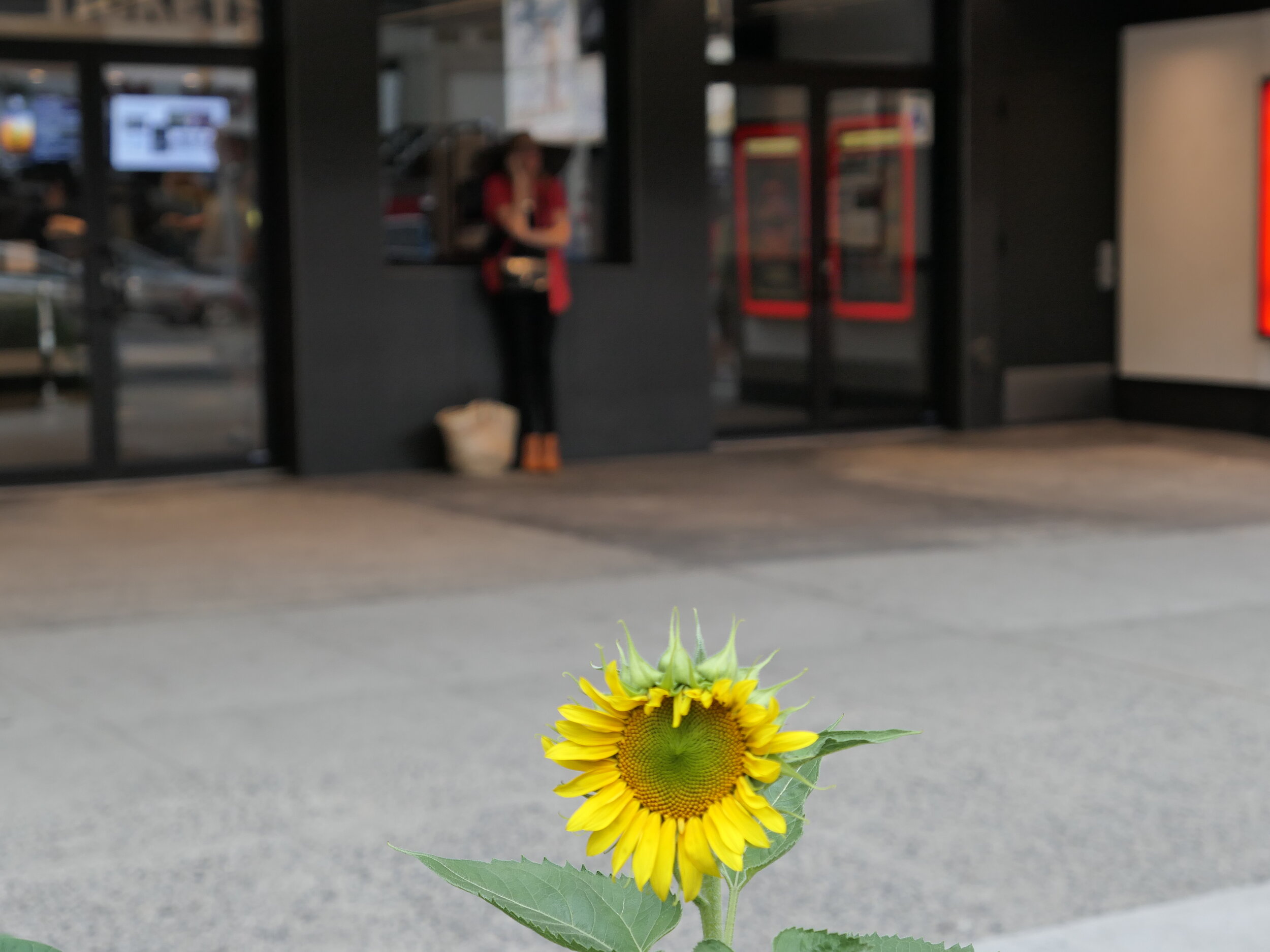 P1030349.JPG