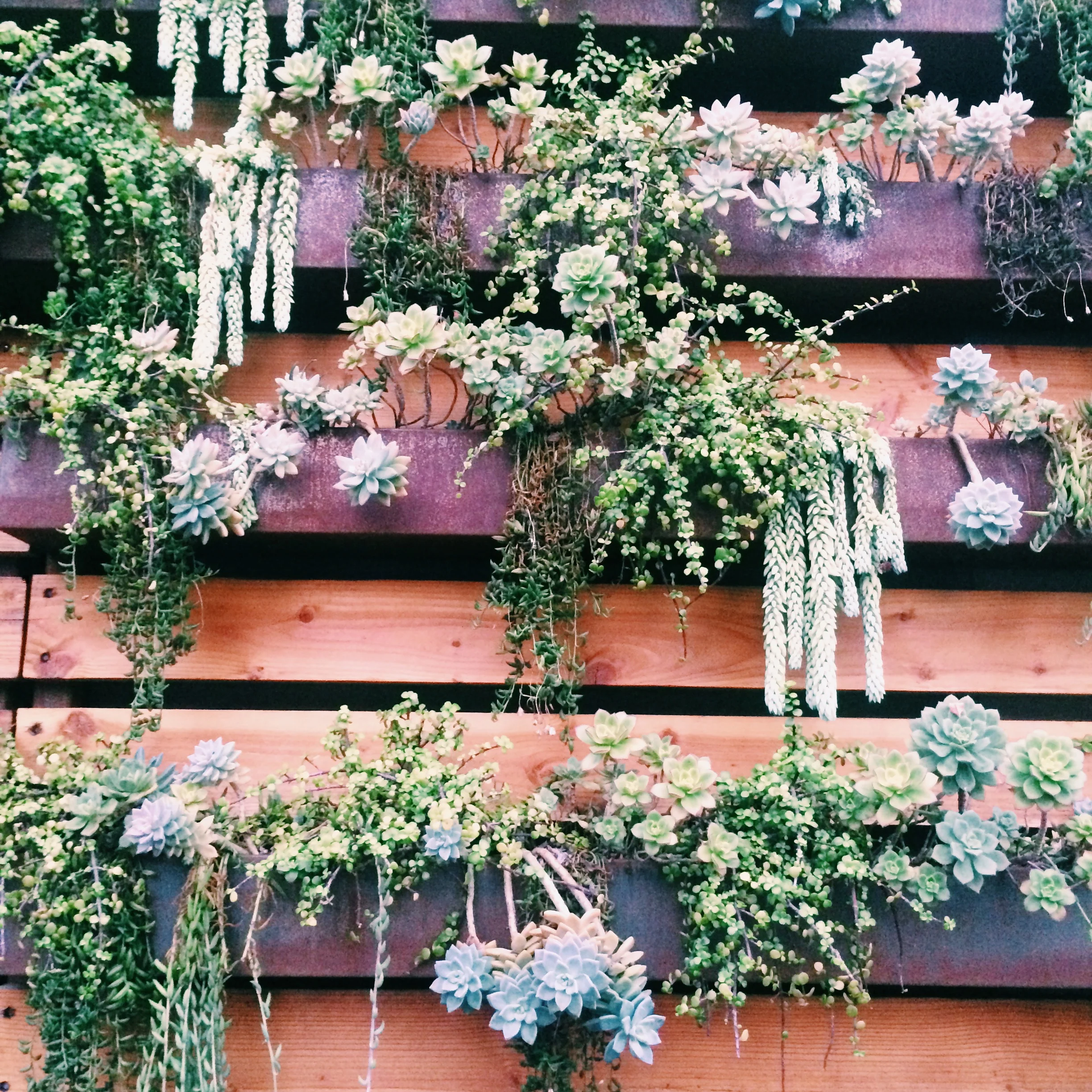 Belief Through the Cracks