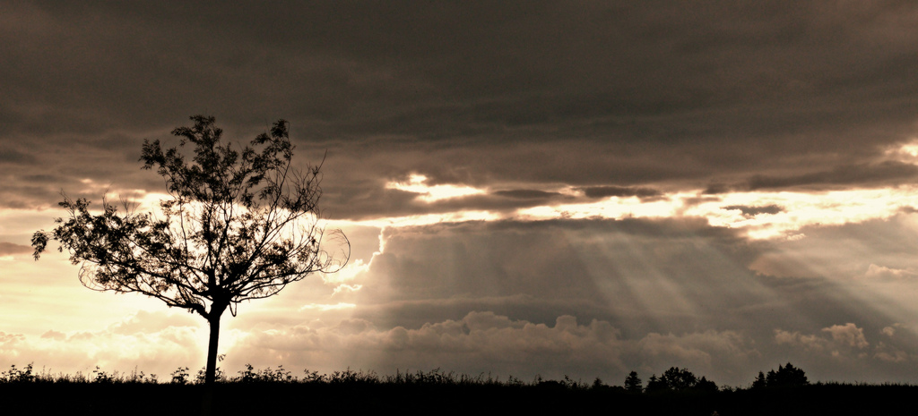 Quarterlife Woman: Web Article, 2013, Permission to Find Joy in Trials