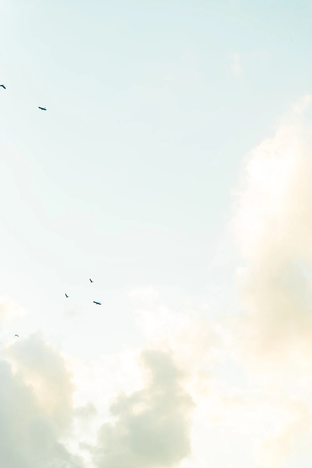 Still Moving: The journey towards stillness, discovering a tumor & staring down fear...
