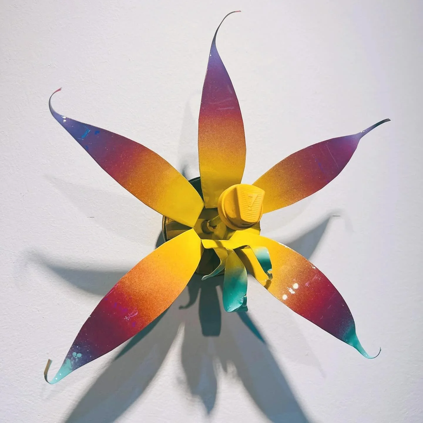 ☀️ Montasolaria flamivita aurealis

&ldquo;The Emberfield Warden&rdquo;
Sun-yellow, blood-orange, and ember-crimson blaze through the petals, like a wildfire burning across fields at golden hour. The high-gloss petals flash as if made of polished fla