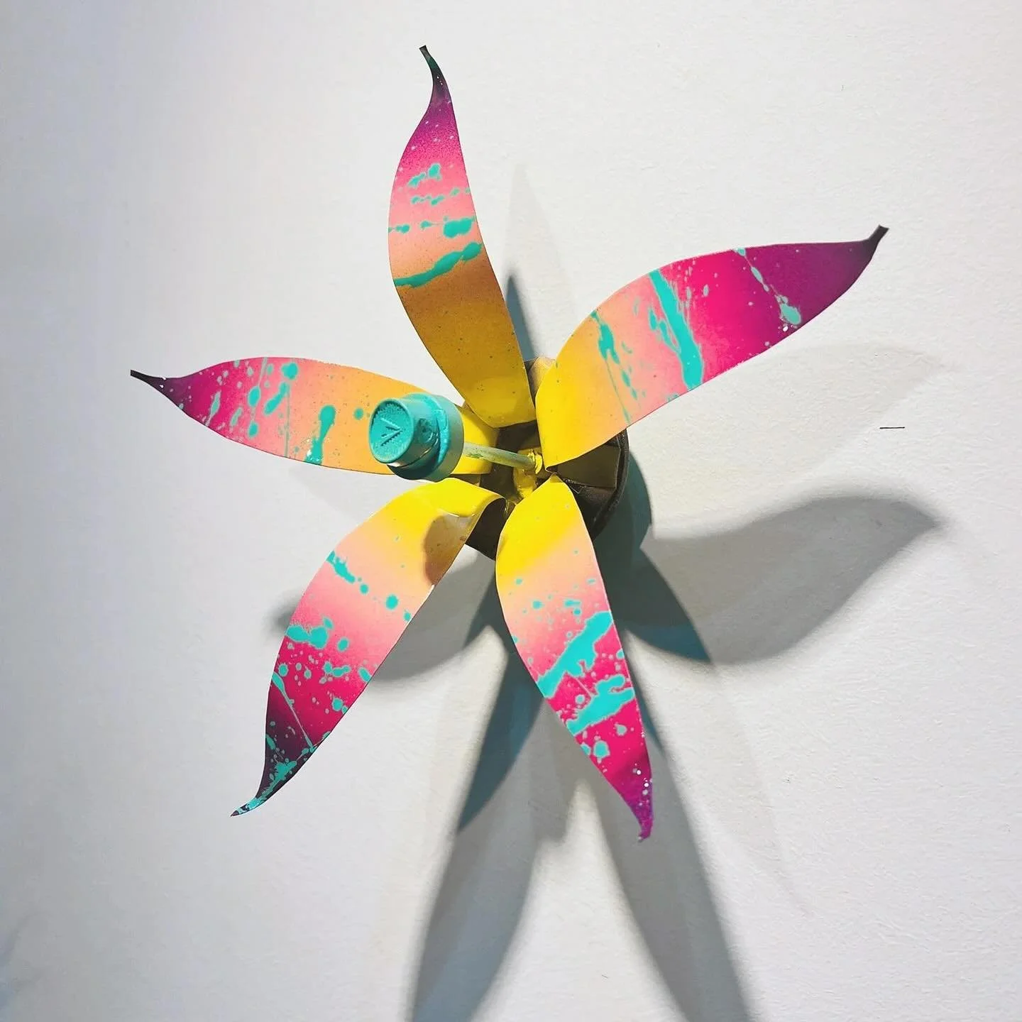 &ldquo;The Painted Seraph&rdquo;
Cherry and raspberry hues melt together into the luminescent  petals, with gentle glows of soft rose and magenta tracing the edges. Under sunlight, each petal almost looks translucent.

Origin Legend: Grew in forgotte