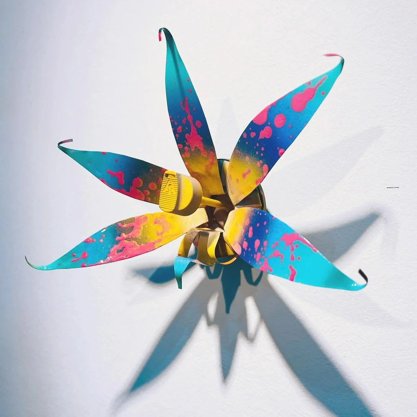 &ldquo;The Star of the Tides&rdquo;
The petals transition from deep ocean blue to vibrant sunset to radiant candy pink, as if capturing the reflection of stars over a tide pool. Tiny dots cluster near the base like starbursts.

Origin Legend: Found b