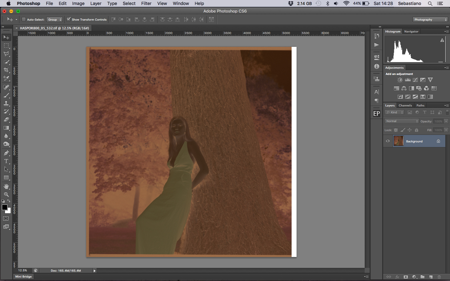 Opening the linear scan in Photoshop it is first necessary to neutralise the orange mask. 