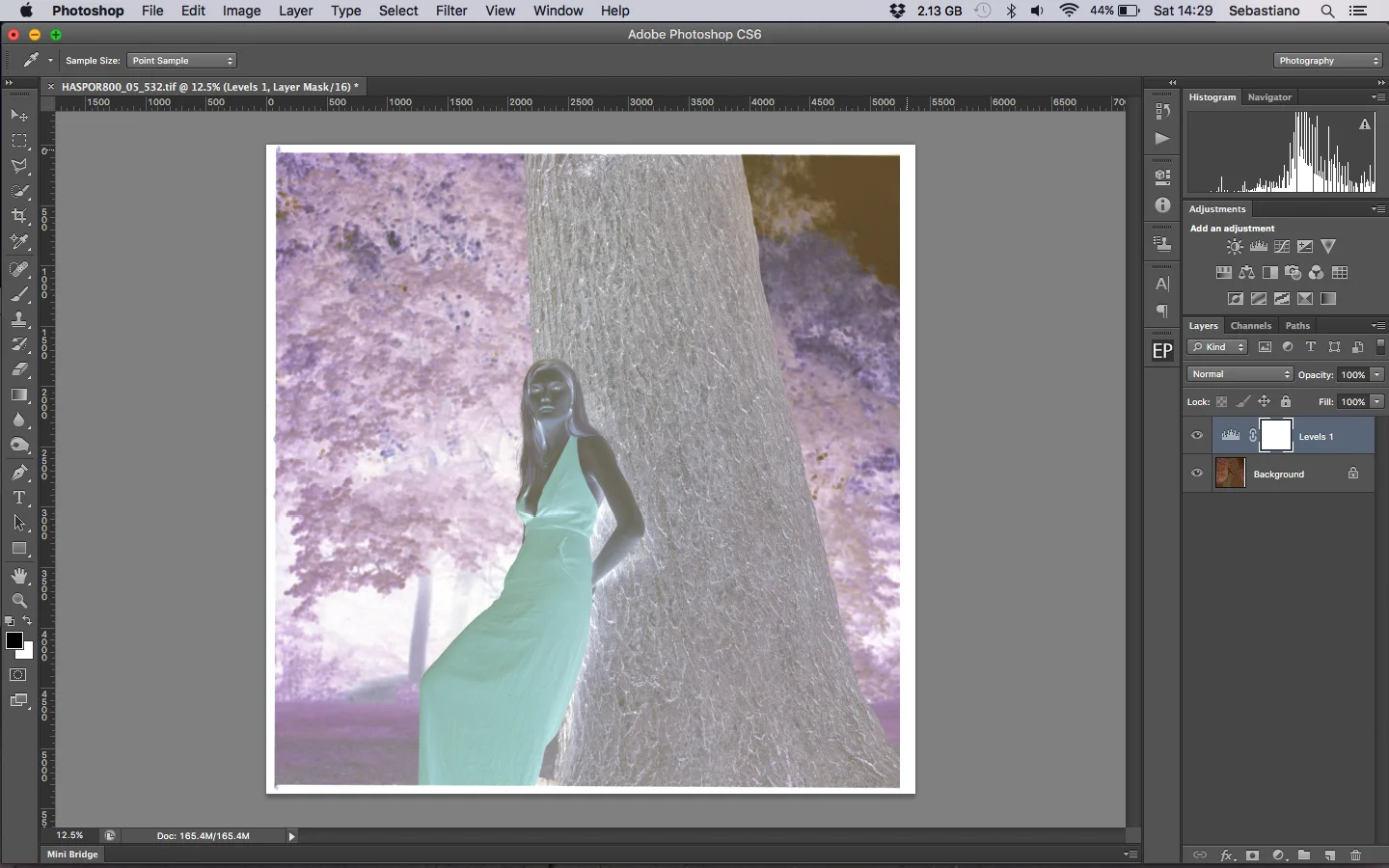After sampling the orange mask with the white eyedropper tool all orange base areas become white and subsequently black when inverted. Note the white areas under the trees that will become the deep shadows