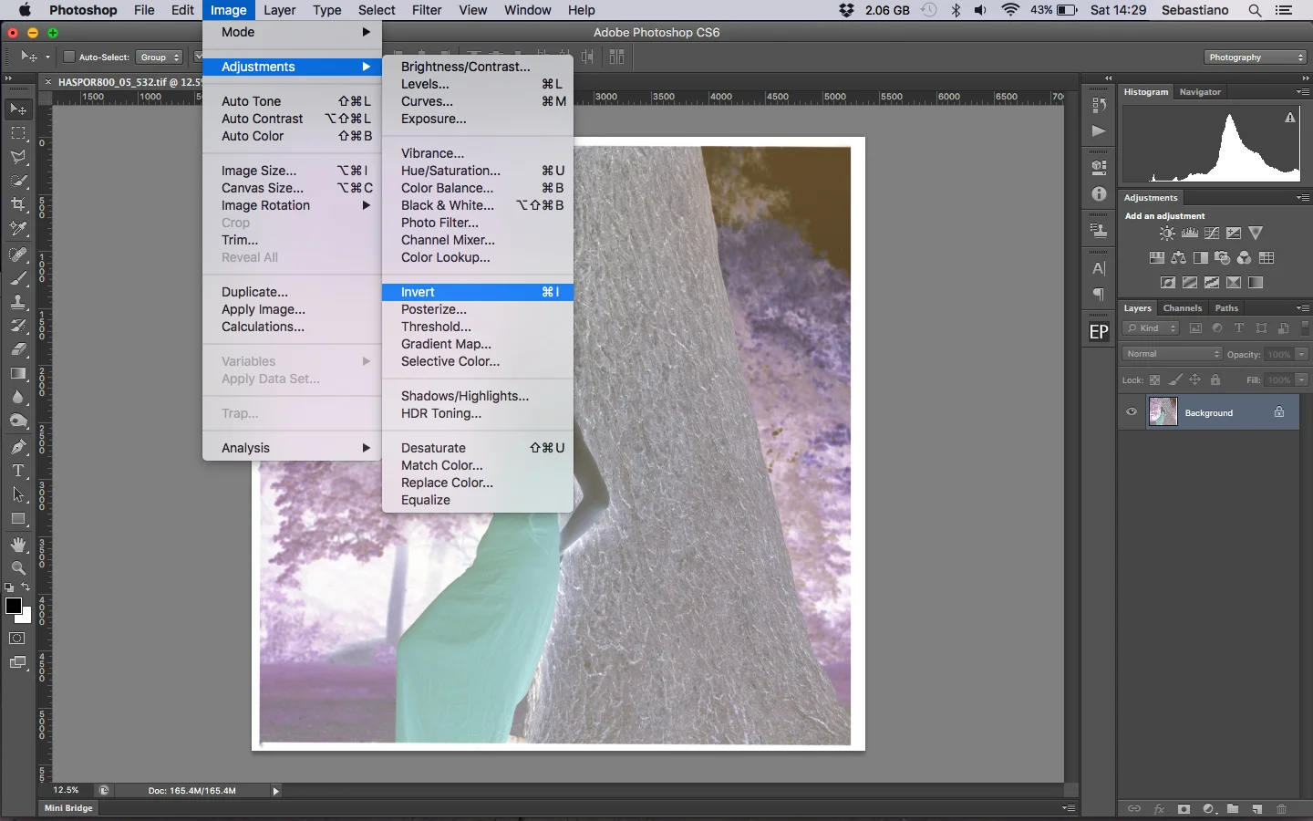 Invert the file: Image>Adjustments>Invert or cmd + I (ctrl + I on Windows)