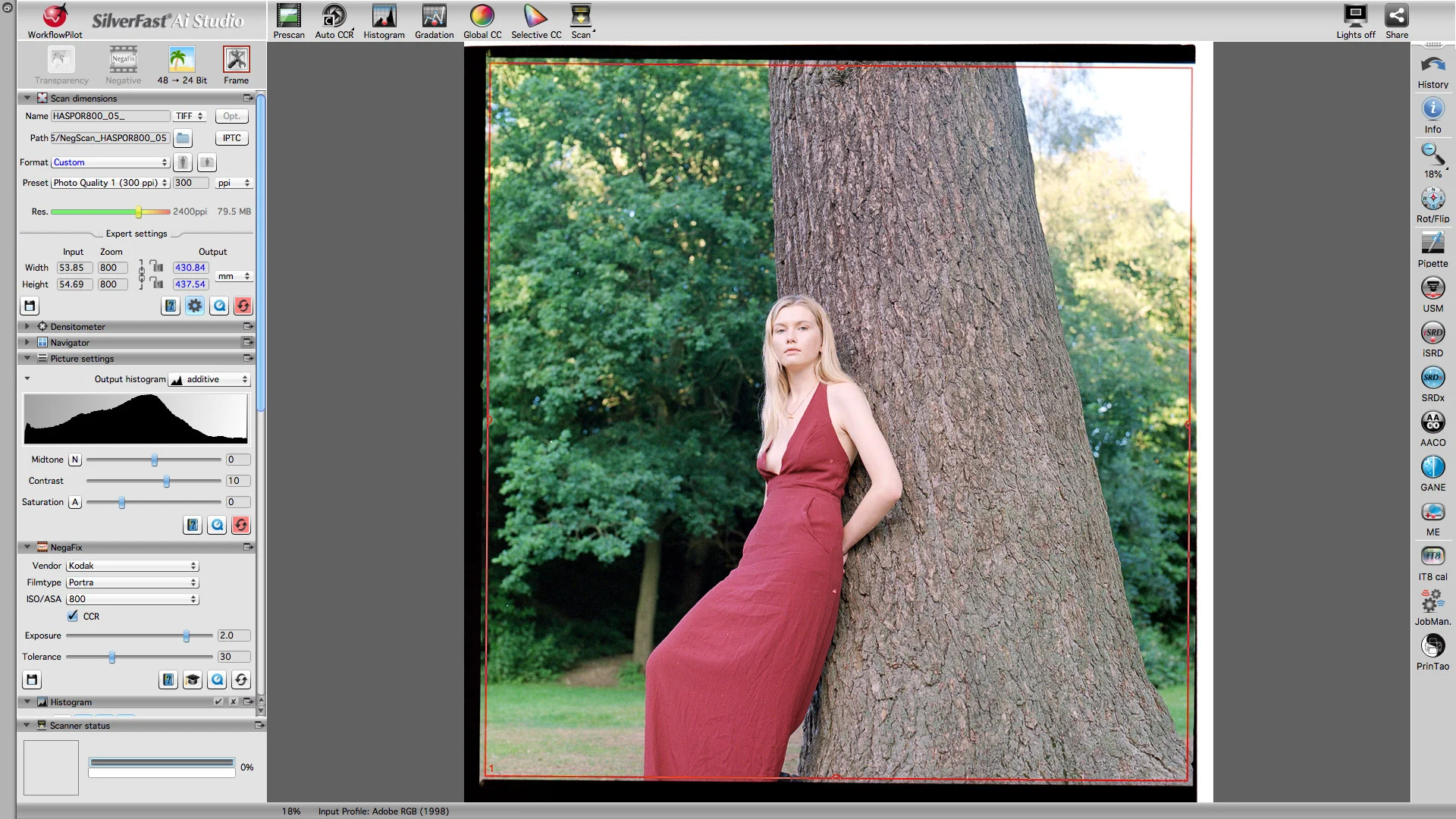 Negafix menu (lower left) with Kodak Portra 800 selected to match film stock being scanned