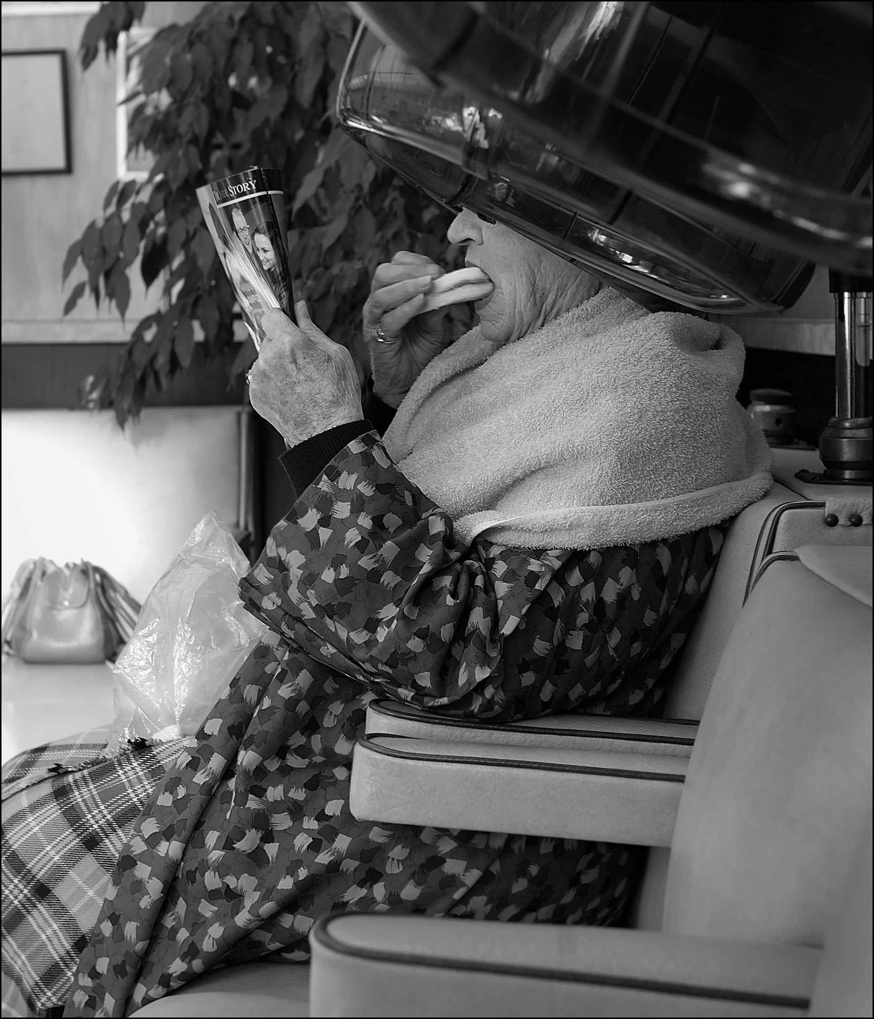 Creature Comforts from a series Salon Stories - 2012