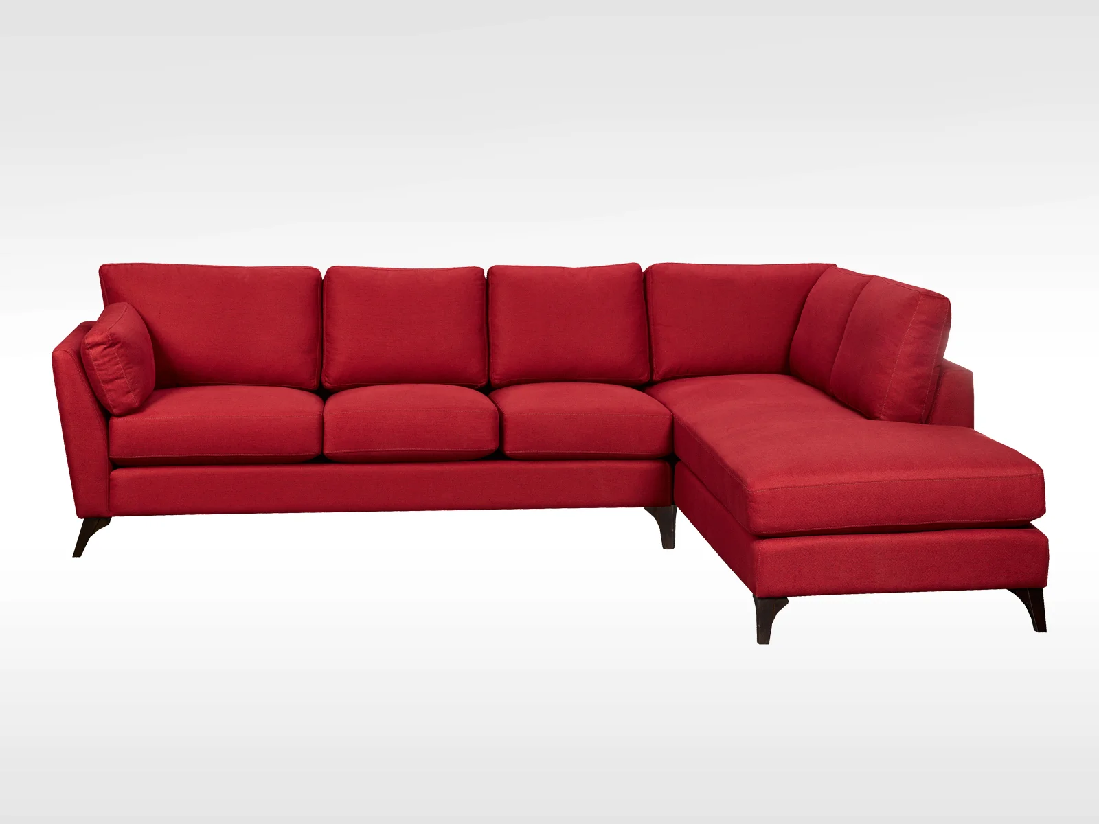 Lunetta LARGE.jpg
