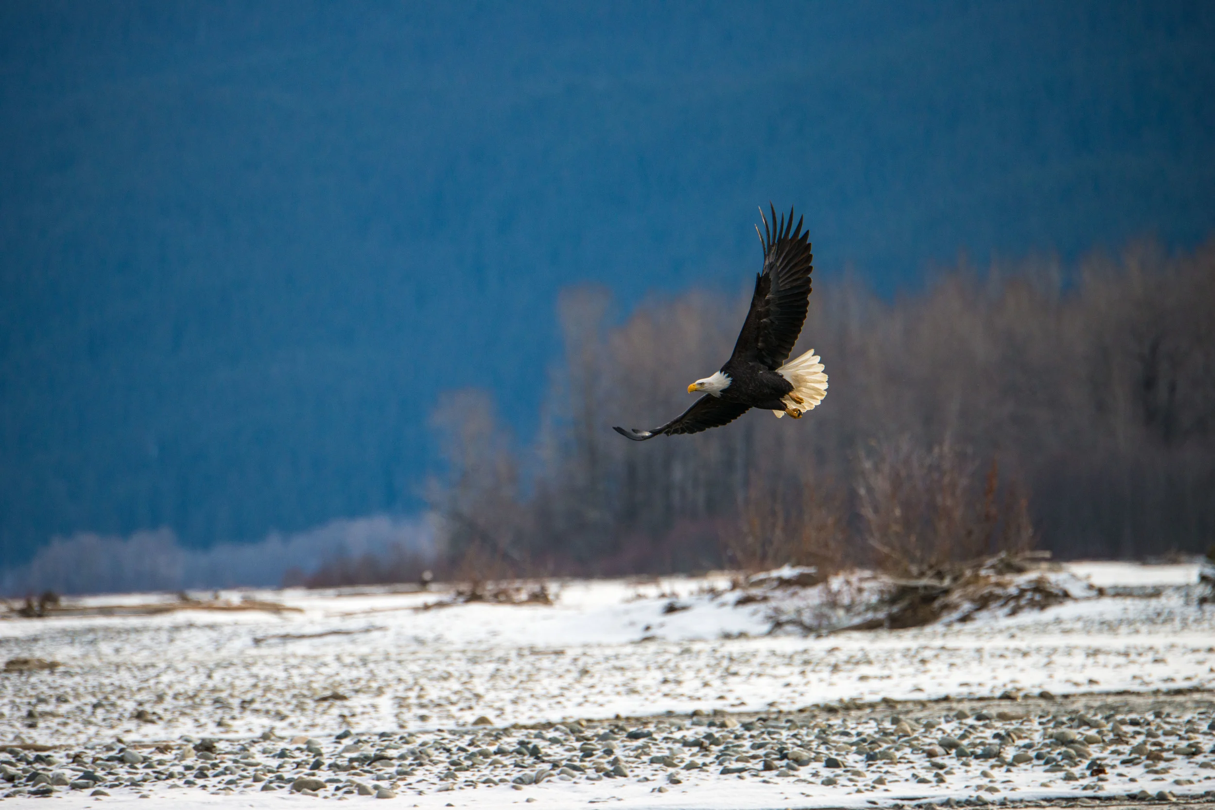 DSC_6474.JPG