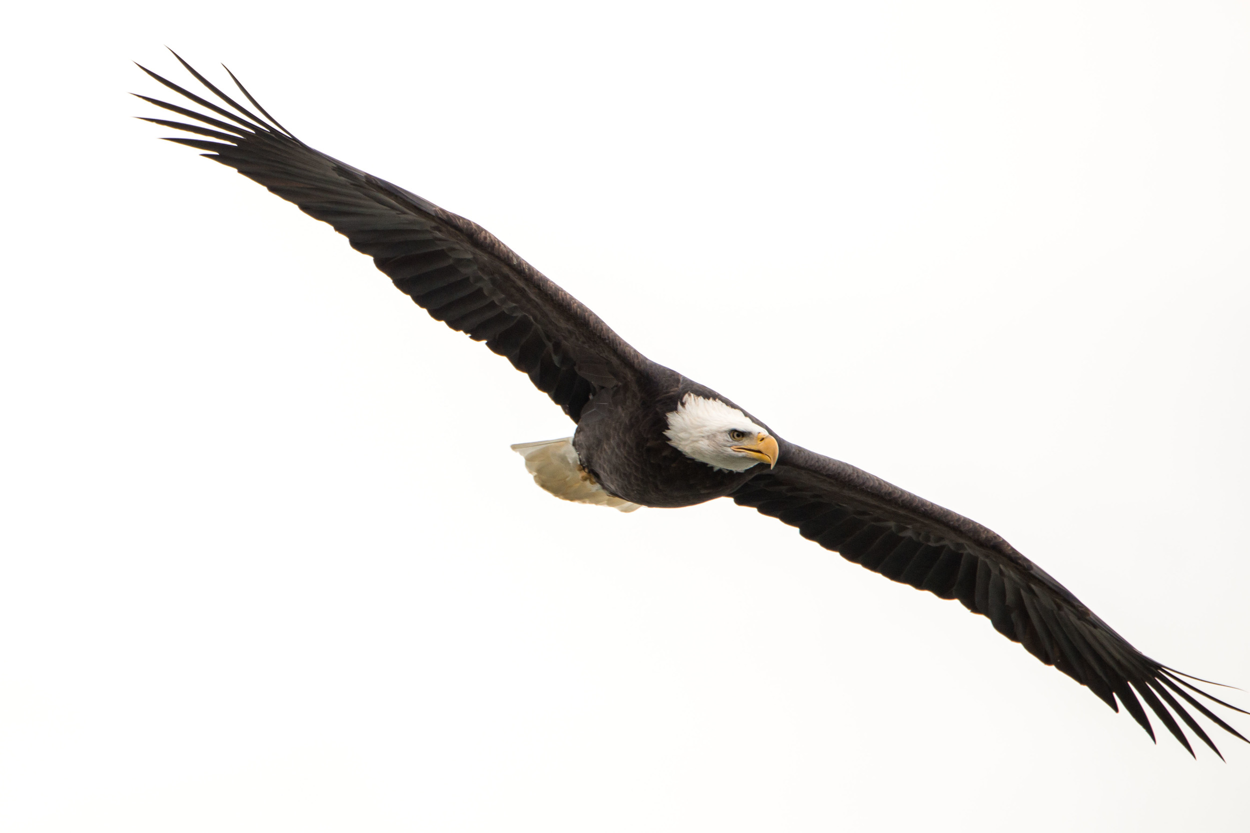 DSC_5896.JPG