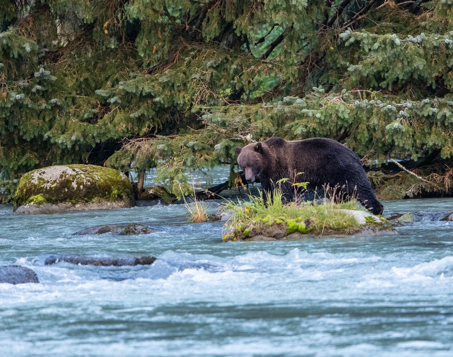 DSC_4779.jpg