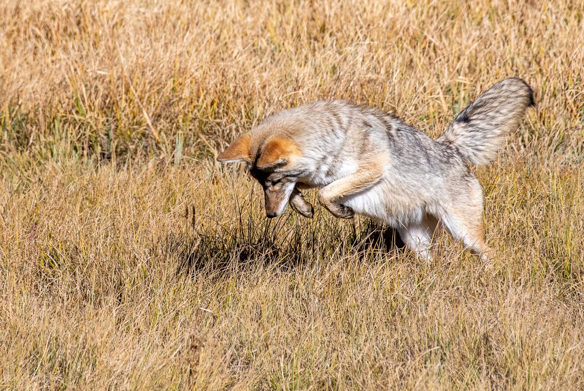 DSC_8881.jpg