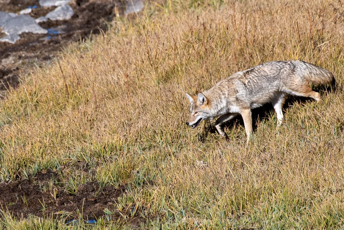 DSC_9024.jpg