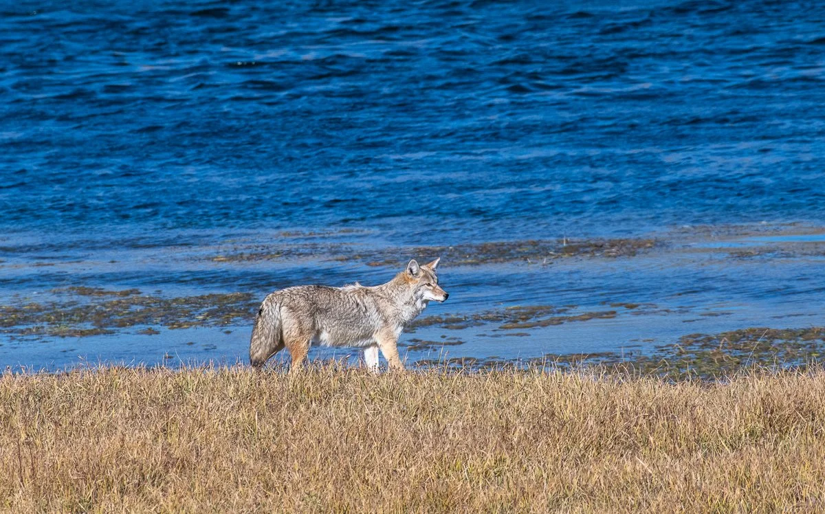 DSC_9039.jpg