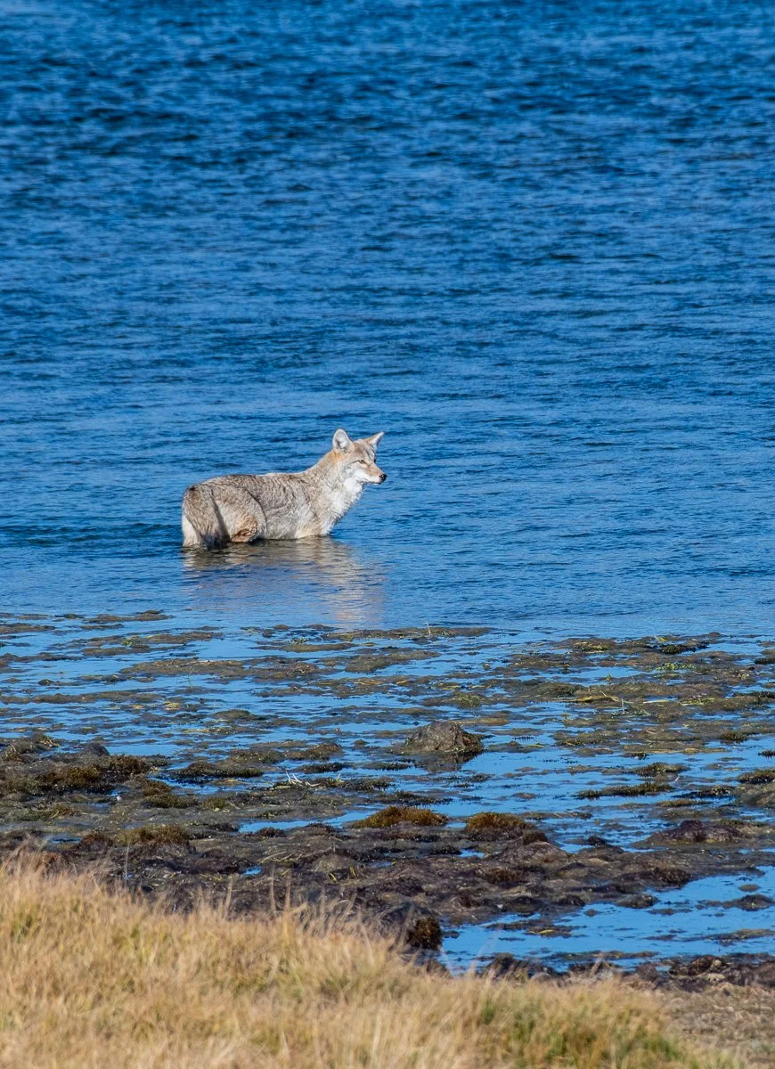 DSC_9146.jpg