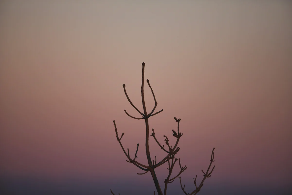 2019_Works (27 of 118).jpg