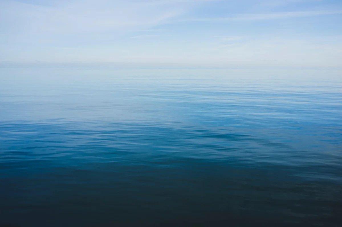 2019_Works (40 of 118).jpg