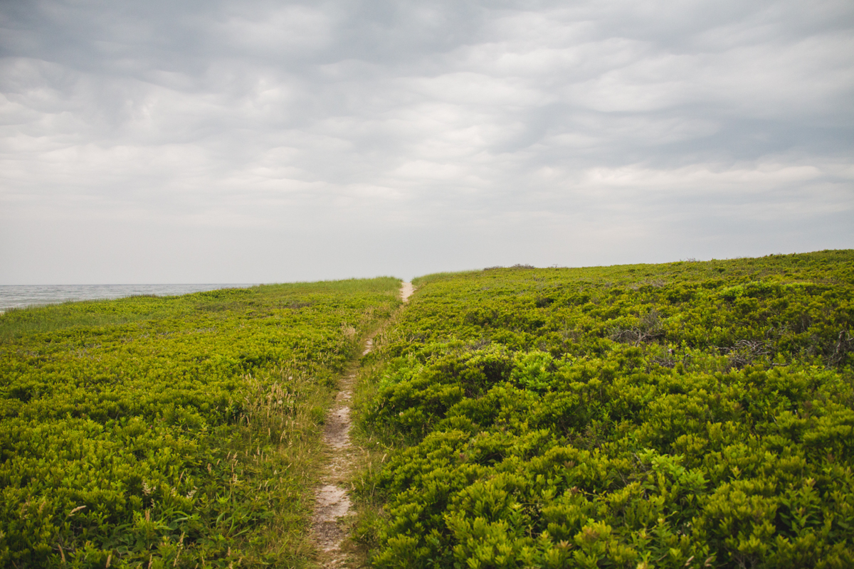 2019_Works (58 of 118).jpg