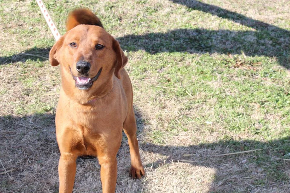 Lupita, Amy, & Rayanne