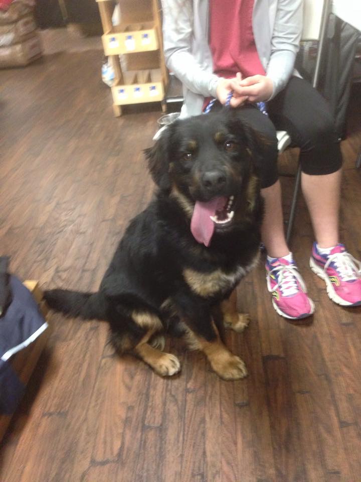 Hollywood Feed, Oxford - 2nd Saturday of Every Month