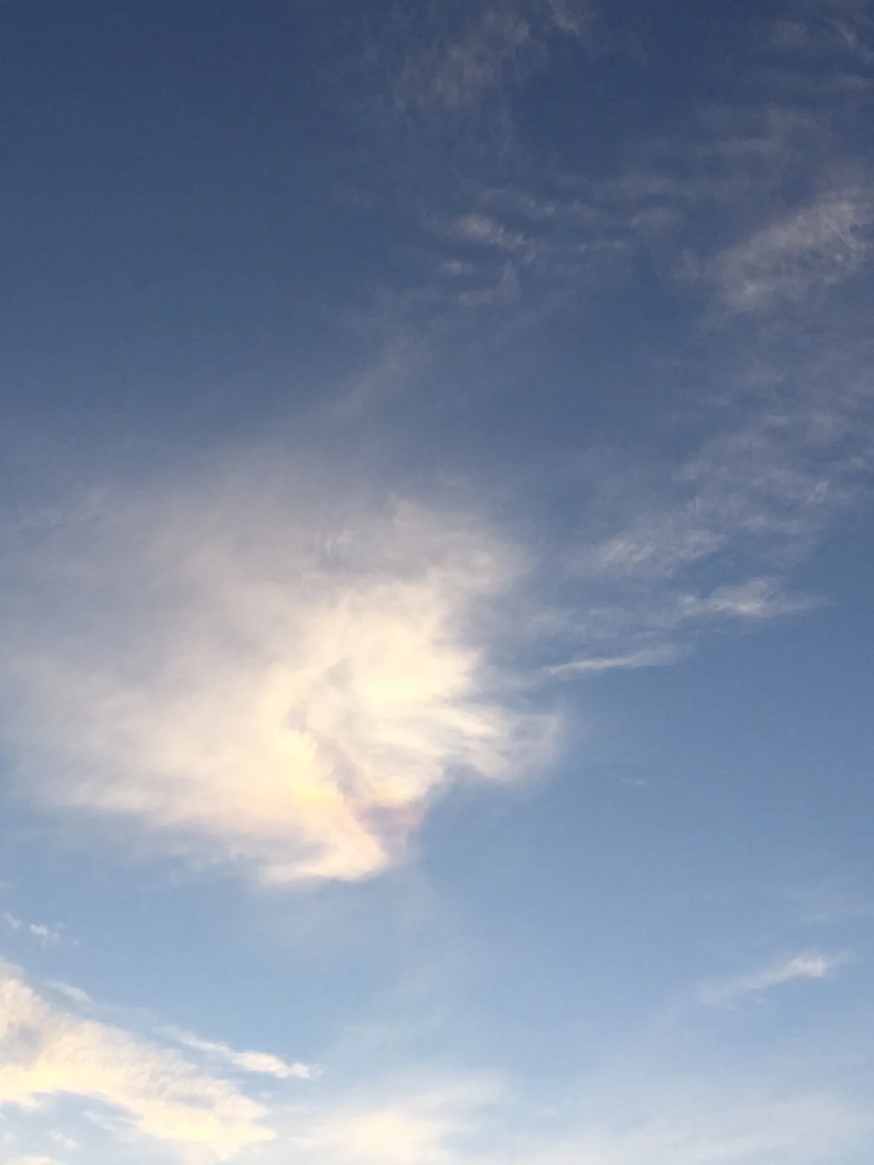 Photo by Meredith B. Albuquerque, New Mexico on December 31, 2015.