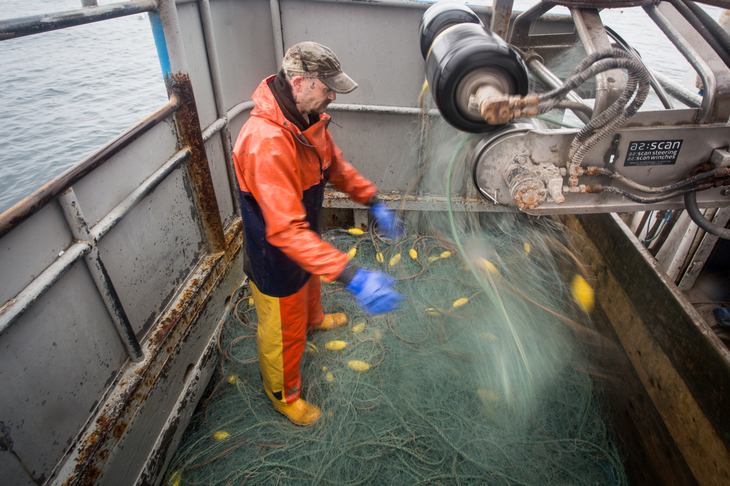 cornish_fish_TOM_NICHOLSON_013.jpg