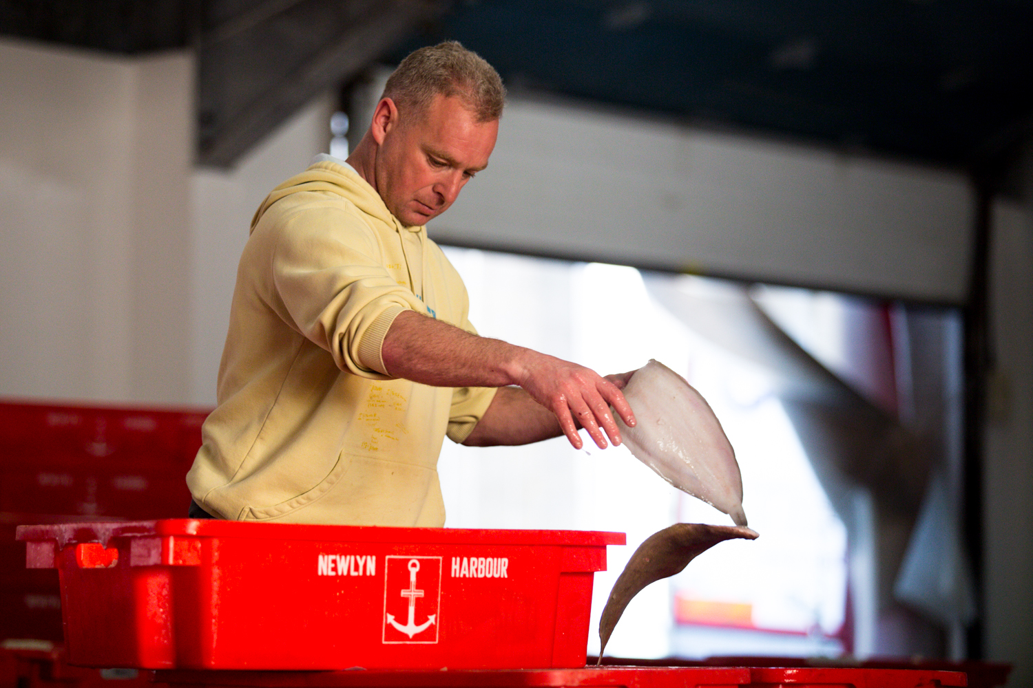 cornish_fish_TOM_NICHOLSON_020.jpg