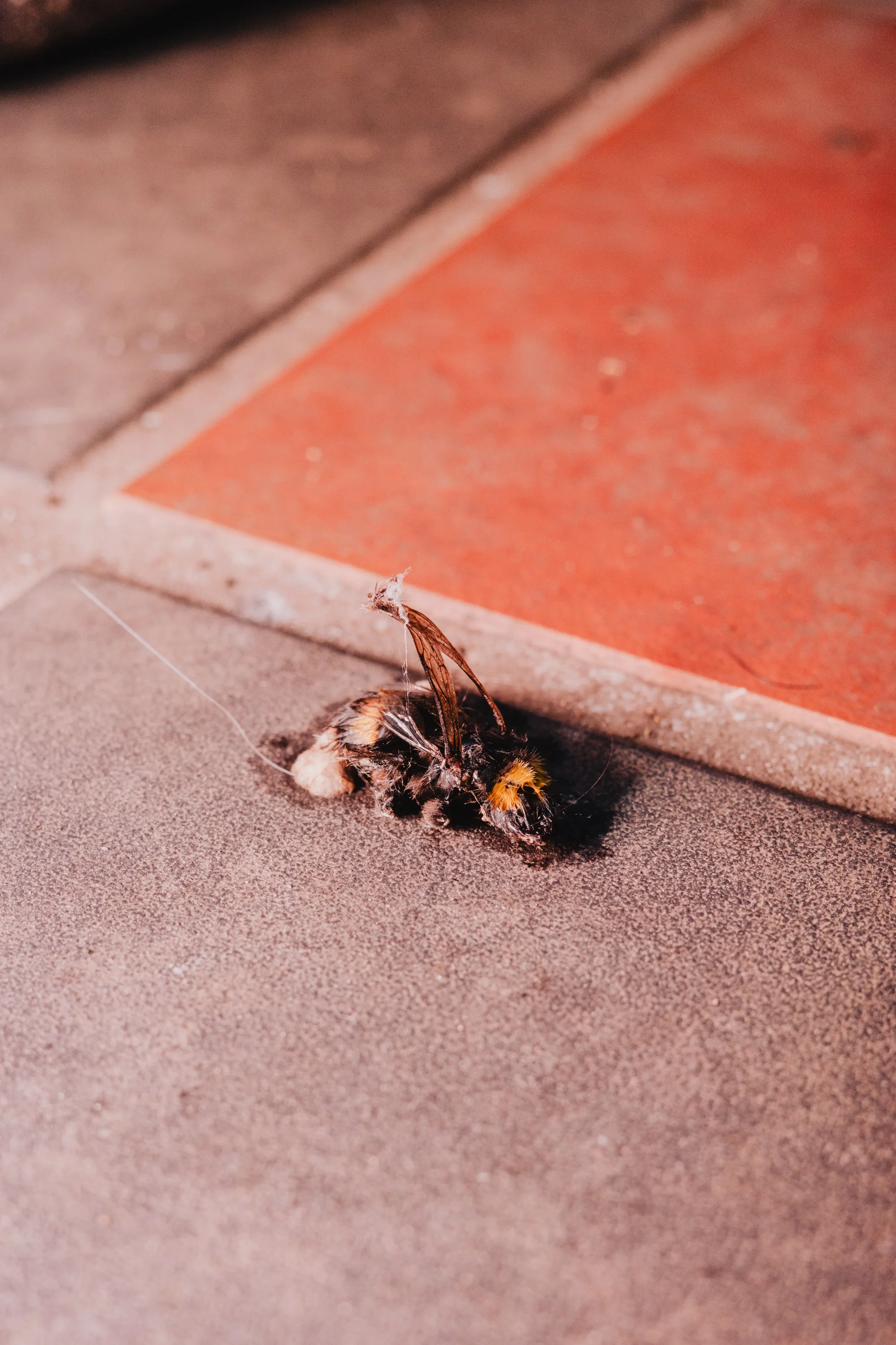 TomWoodroffe TWKOT-24.jpg